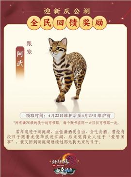 裸装天龙八部私服